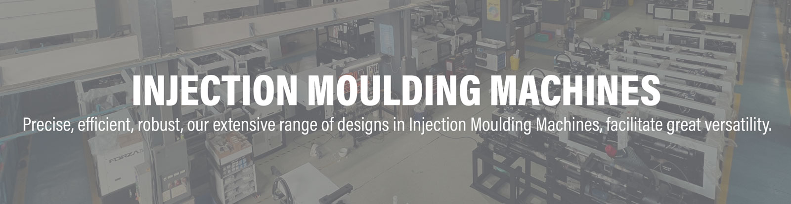 Toggle Injection Moulding Machine in India